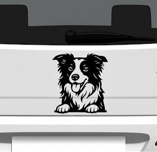 A black and white decal of a Border Collie dog is placed on the rear window of a white station wagon.