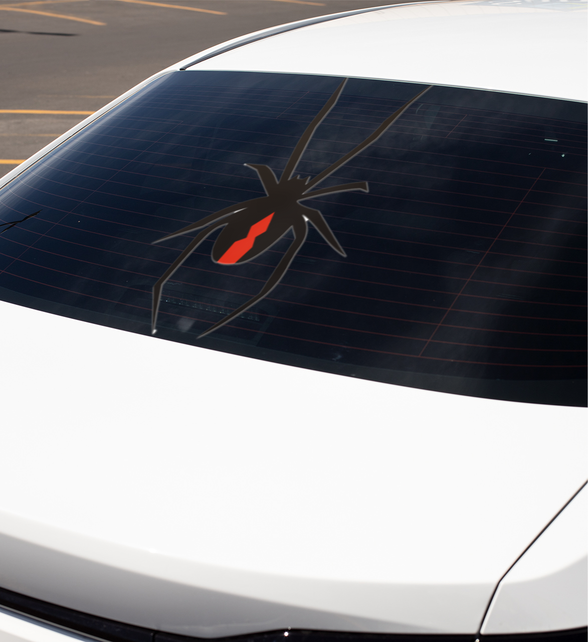 Redback Spider decal on a rear windshield