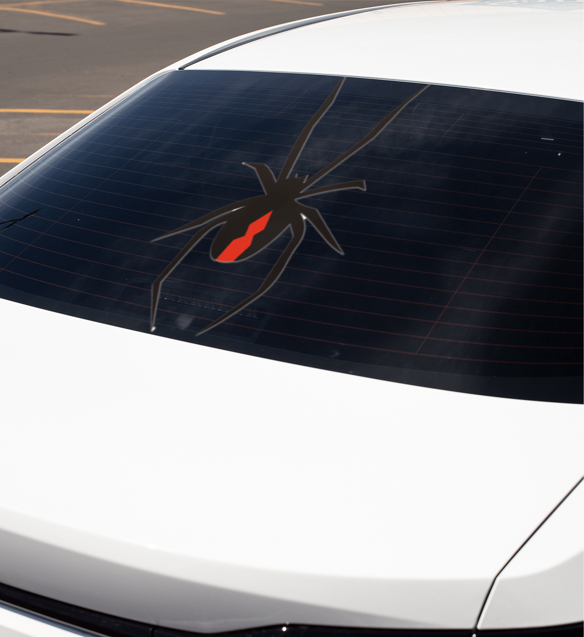 Redback Spider decal on a rear windshield