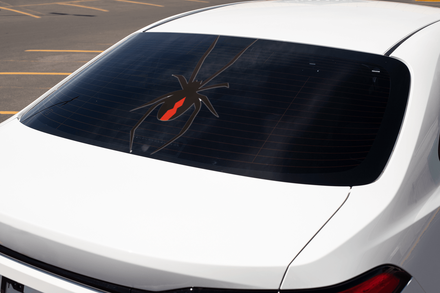 Redback Spider II Decal - That Should Be on a T-Shirt