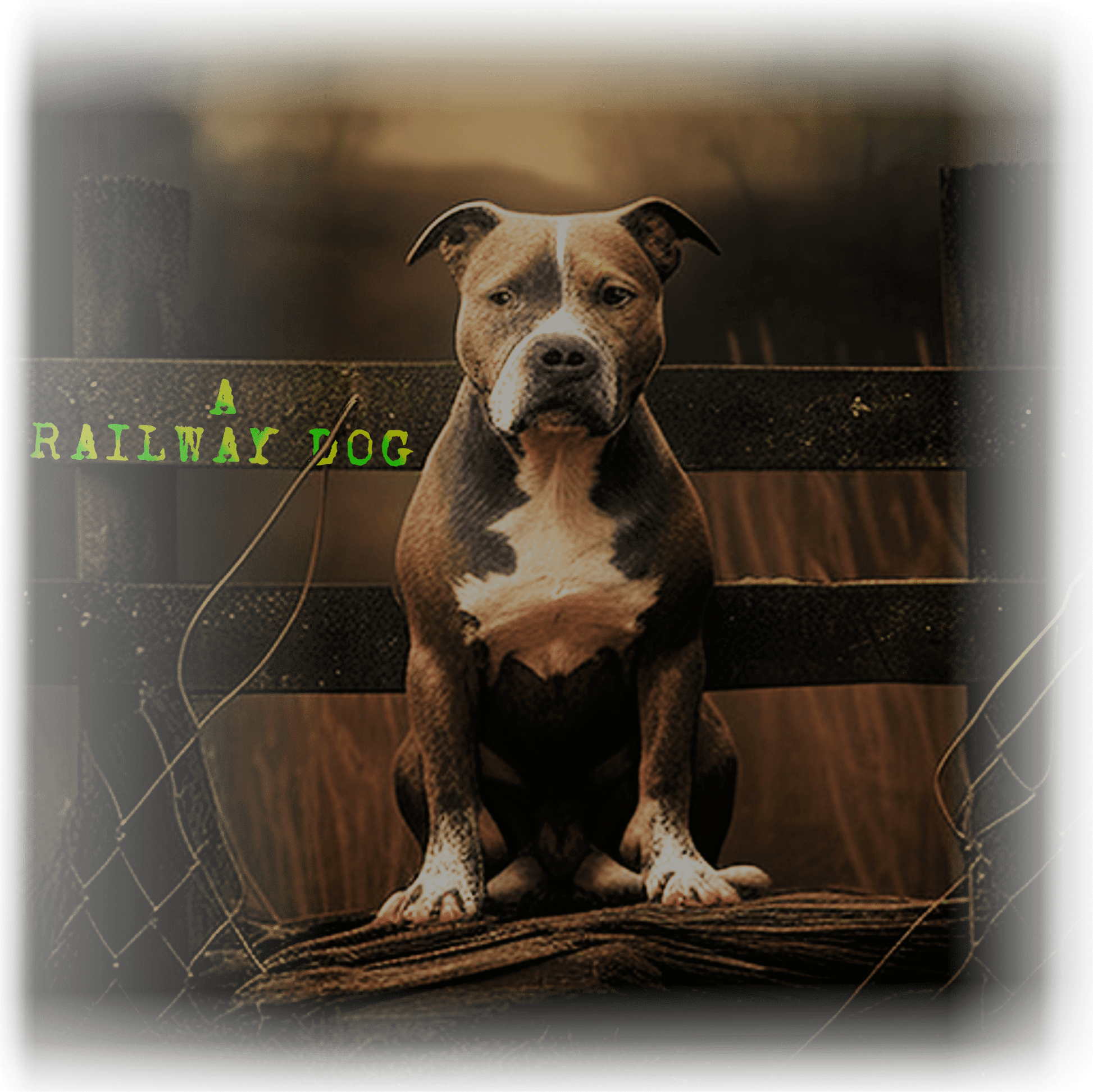 Dog Staffy T-Shirt | Staffy T-Shirt | That Should Be on a T-Shirt