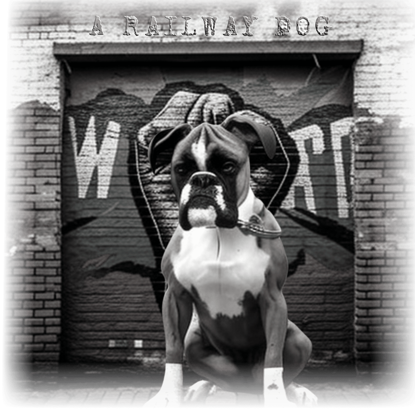 Dog Boxer T-Shirt | Pet Boxer T-Shirt | That Should Be on a T-Shirt