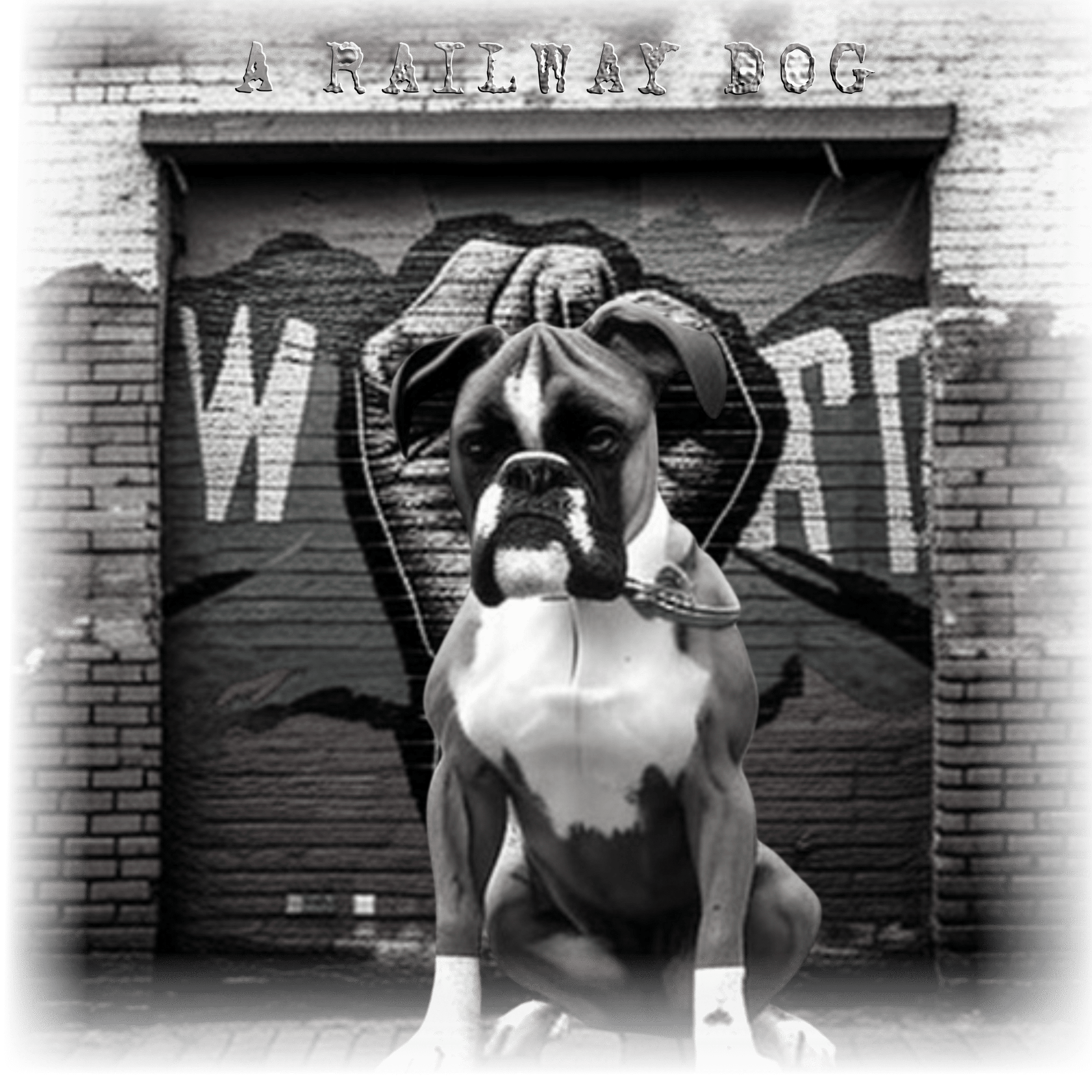 Dog Boxer T-Shirt | Pet Boxer T-Shirt | That Should Be on a T-Shirt