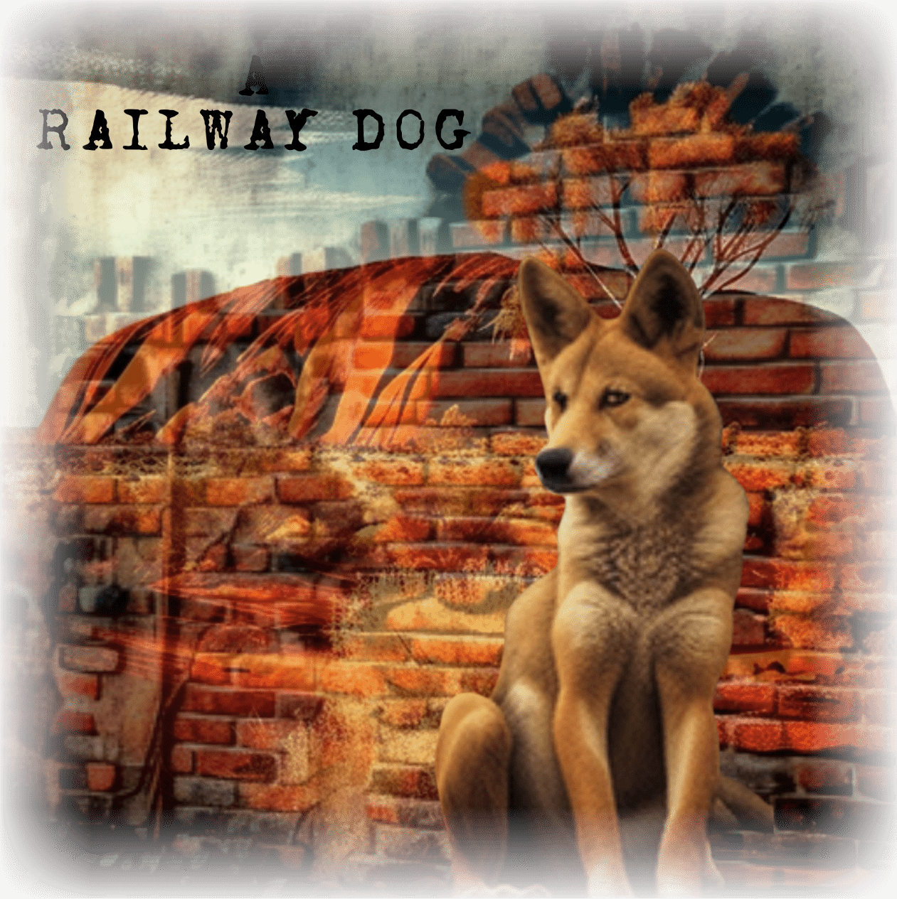 Dog Dingo T-Shirt | Dingo T-Shirt | That Should Be on a T-Shirt