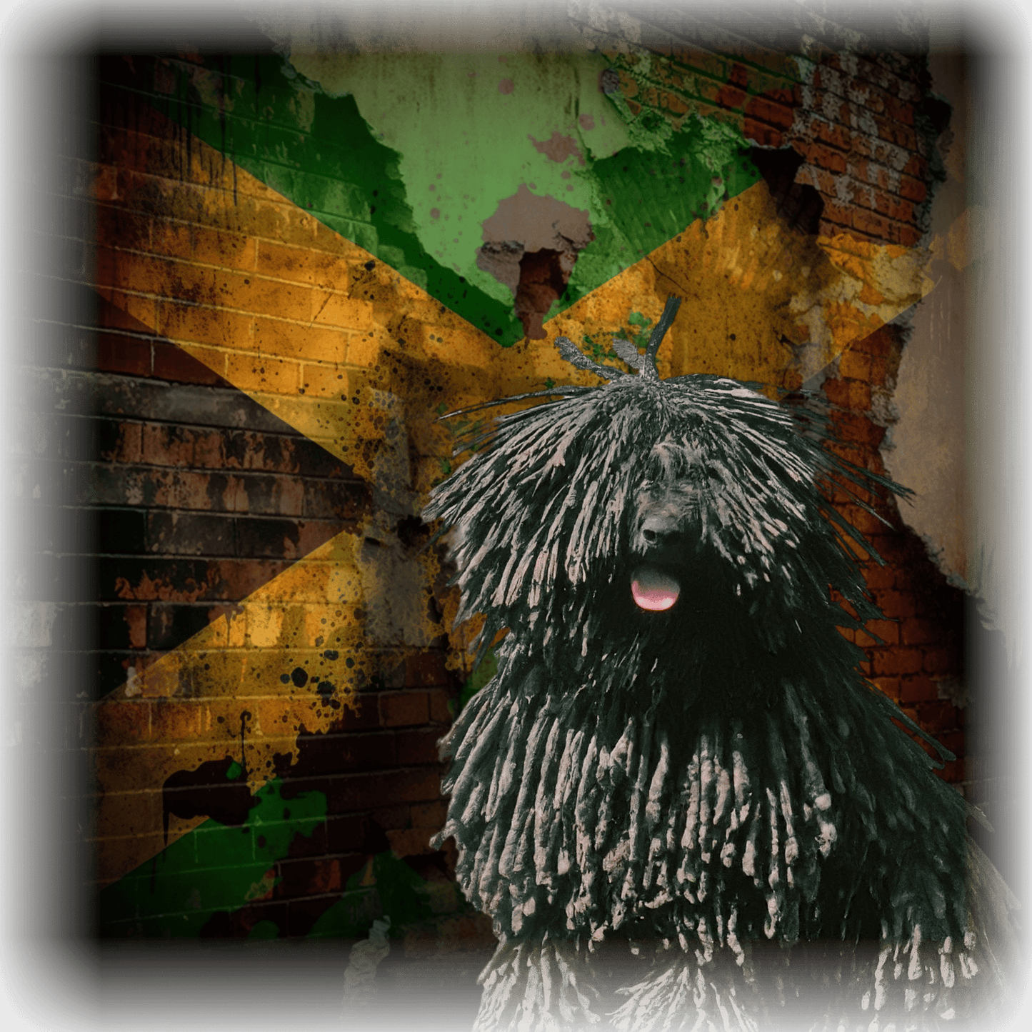 Rasta Puli: Playful Puli dog with a Jamaican reggae or Rastafarian theme on a t-shirt.