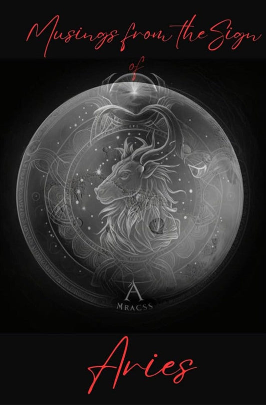 That Should Be On a T-shirt I An Aries Journal