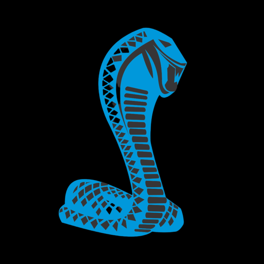 Blue snake logo on a black background