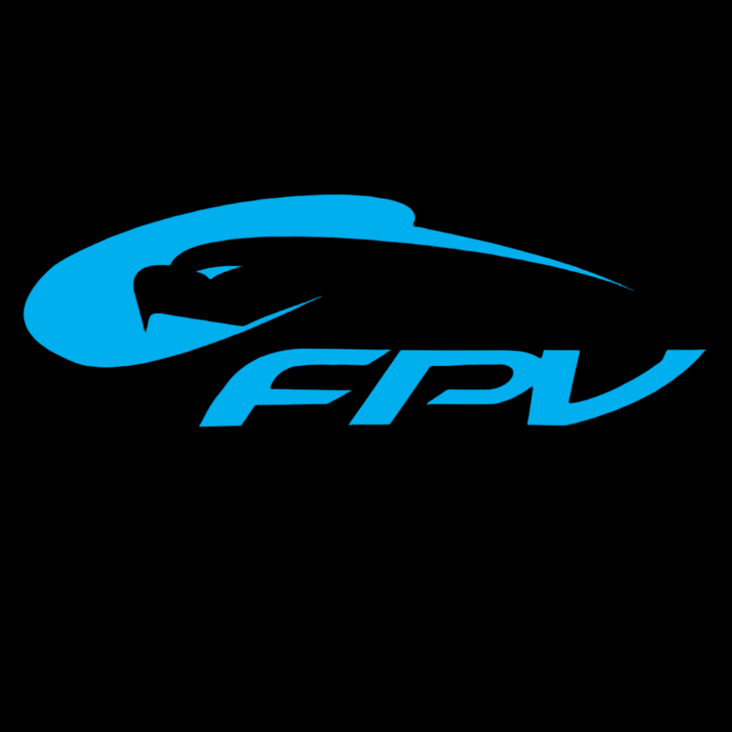 FPV Decal - That Should Be on a T-Shirt