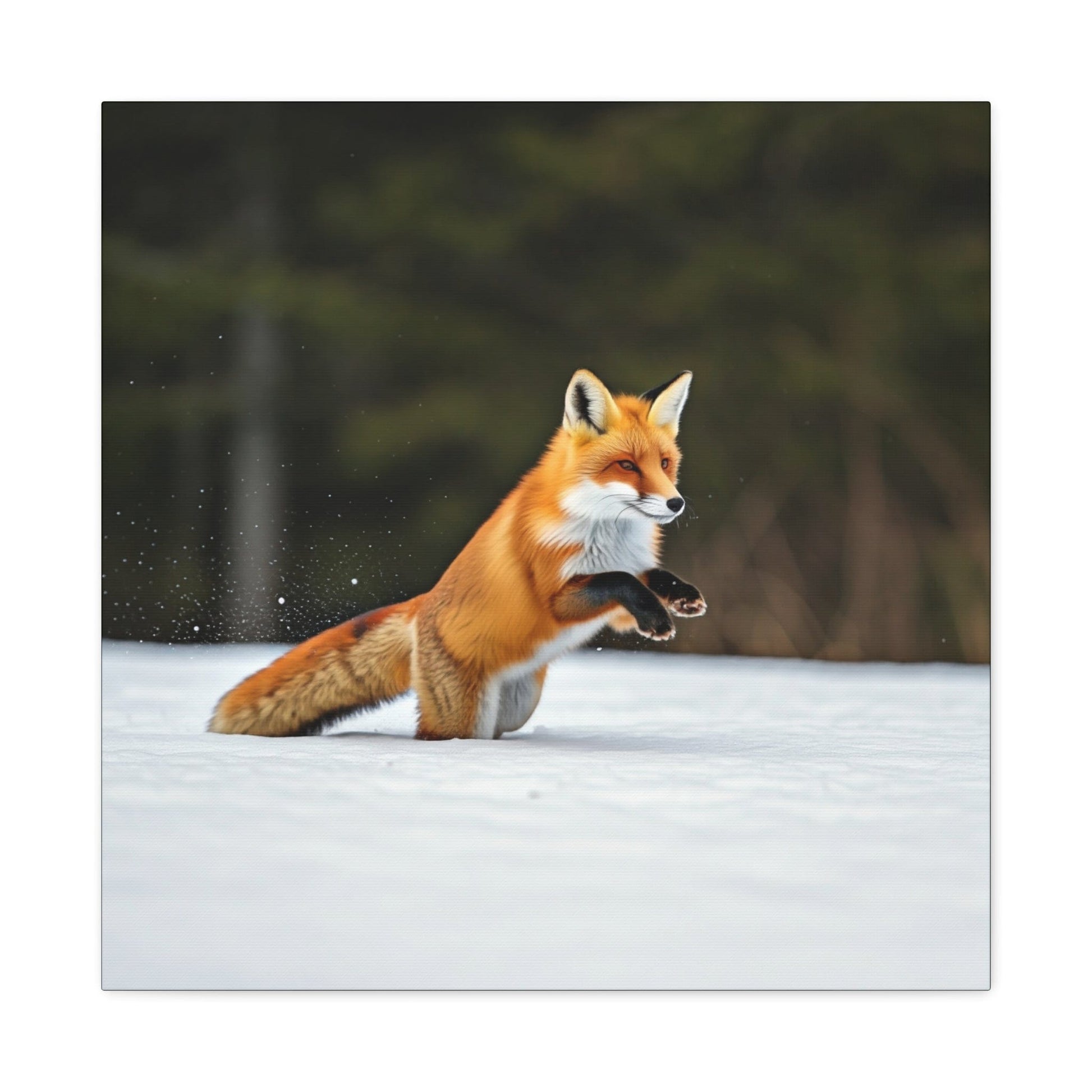 Snow Fox Portrait - That Should Be on a T-Shirt