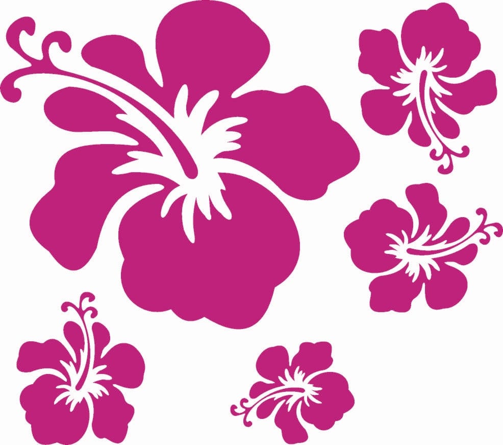 Set of pink floral designs on a white background