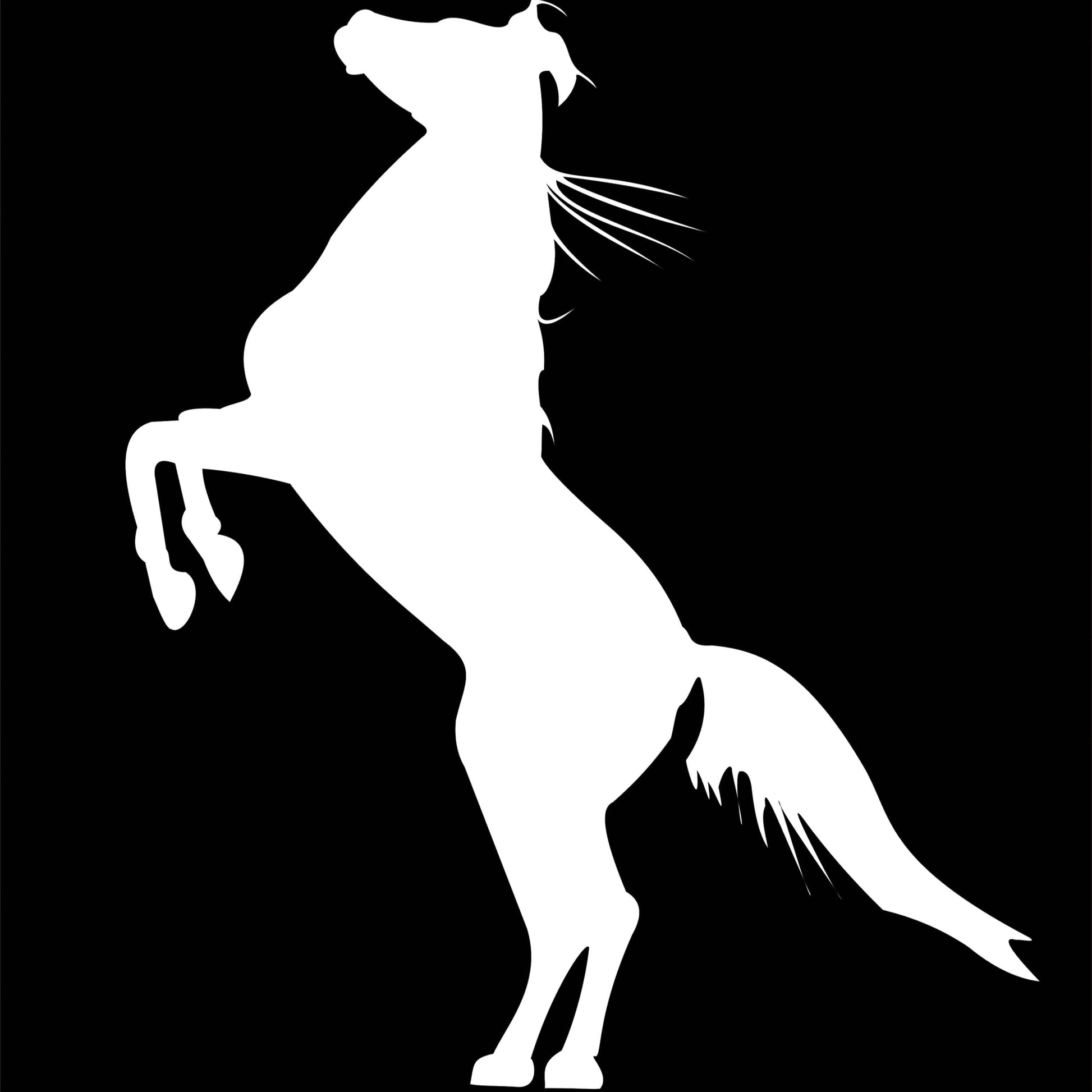 White silhouette of a rearing horse on a black background