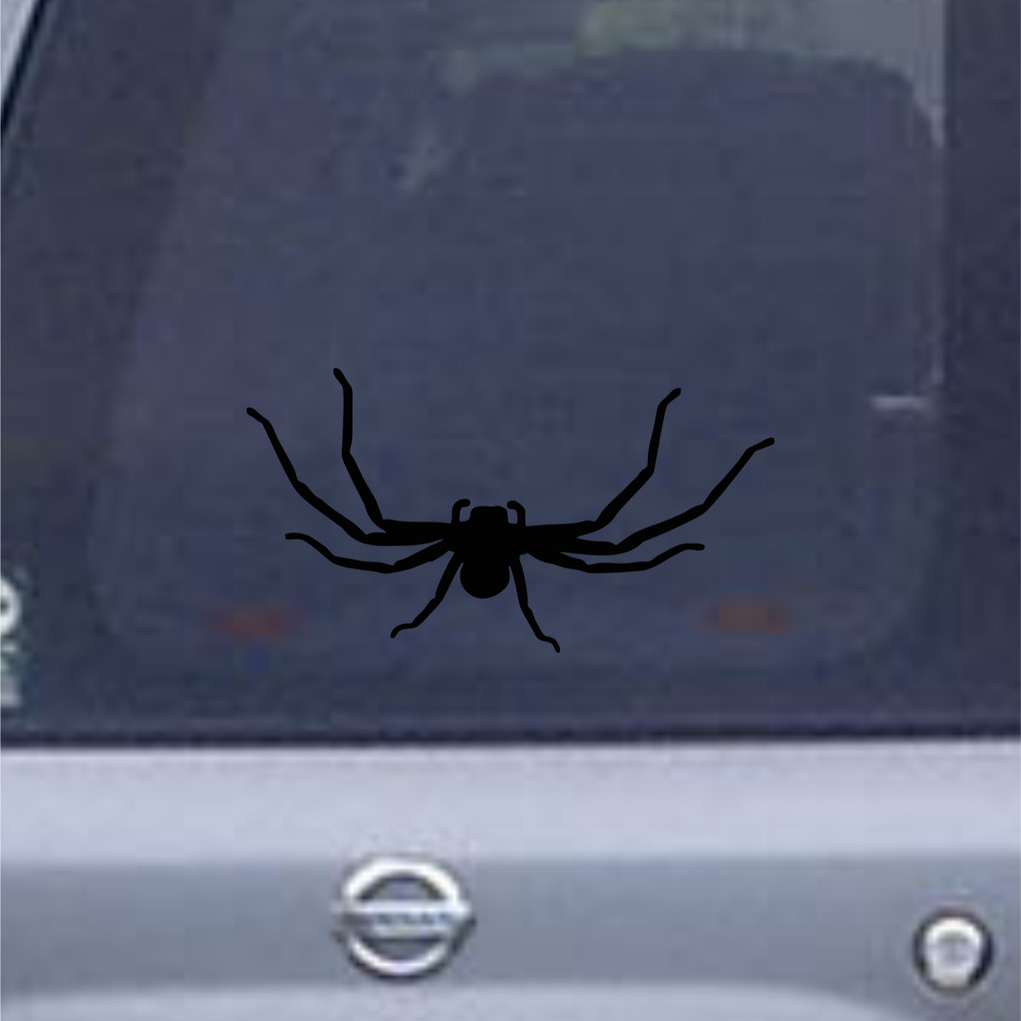 Black spider decal on a car window