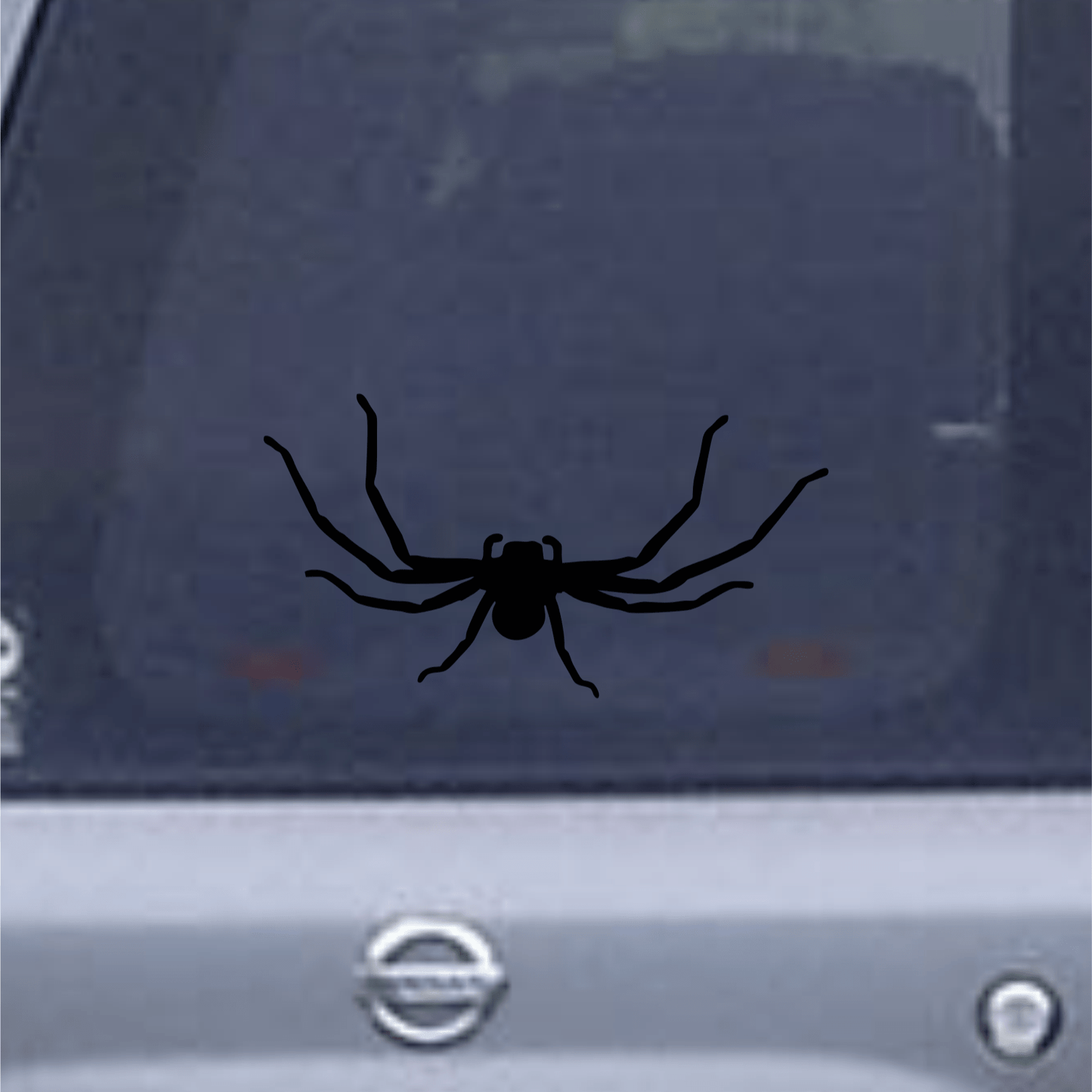 Black spider decal on a car window