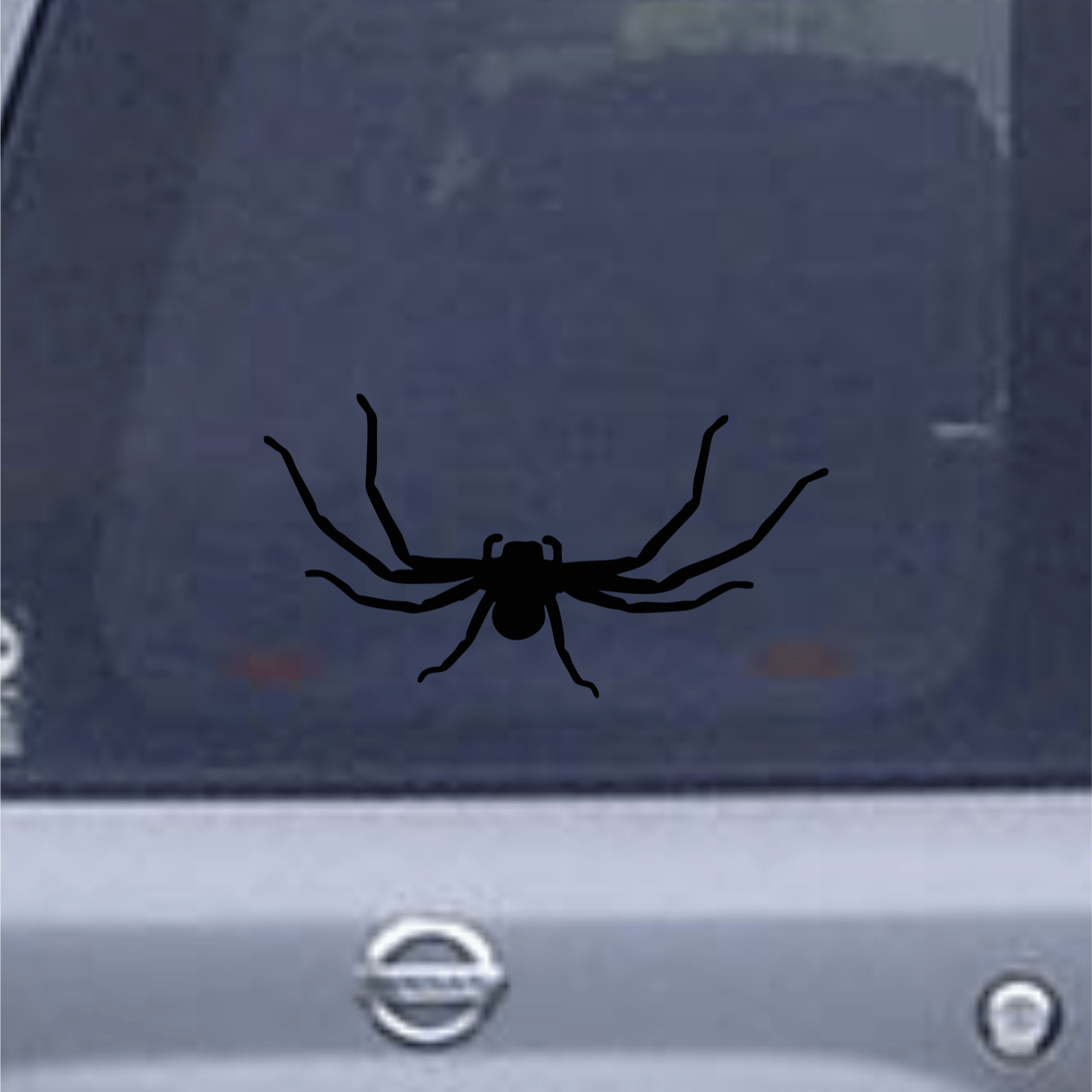 Black spider decal on a car window