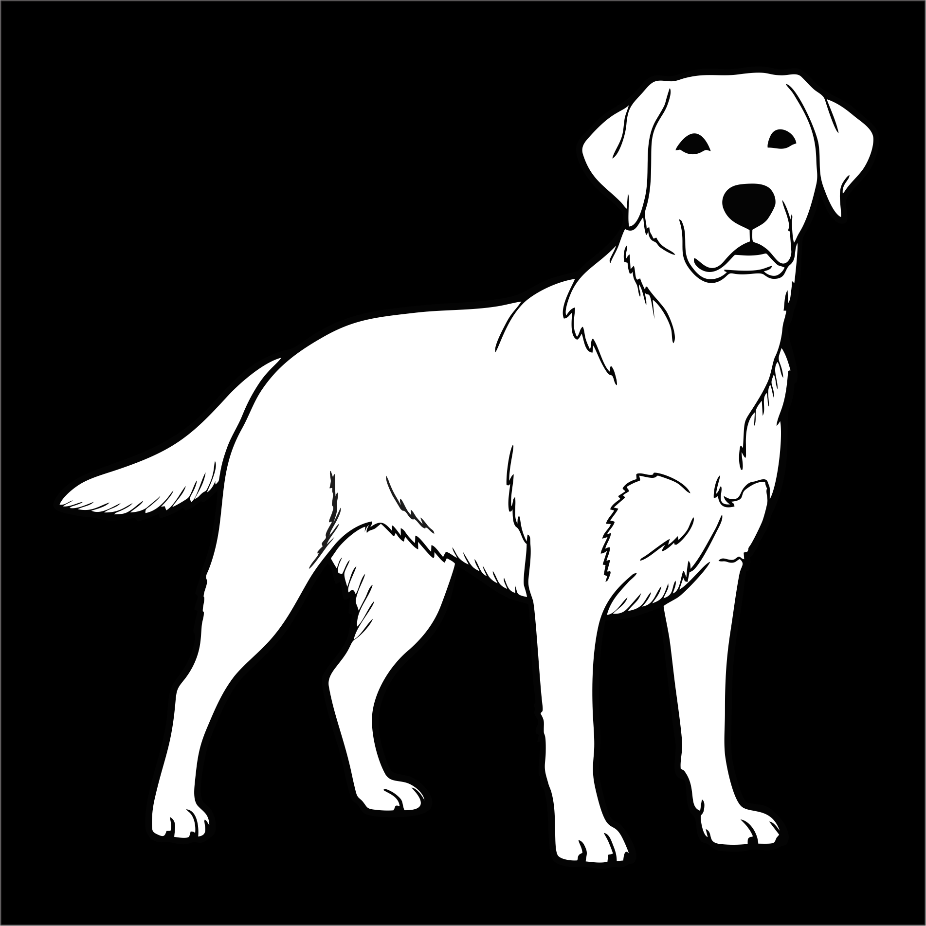 Labrador Decal - That Should Be on a T-Shirt