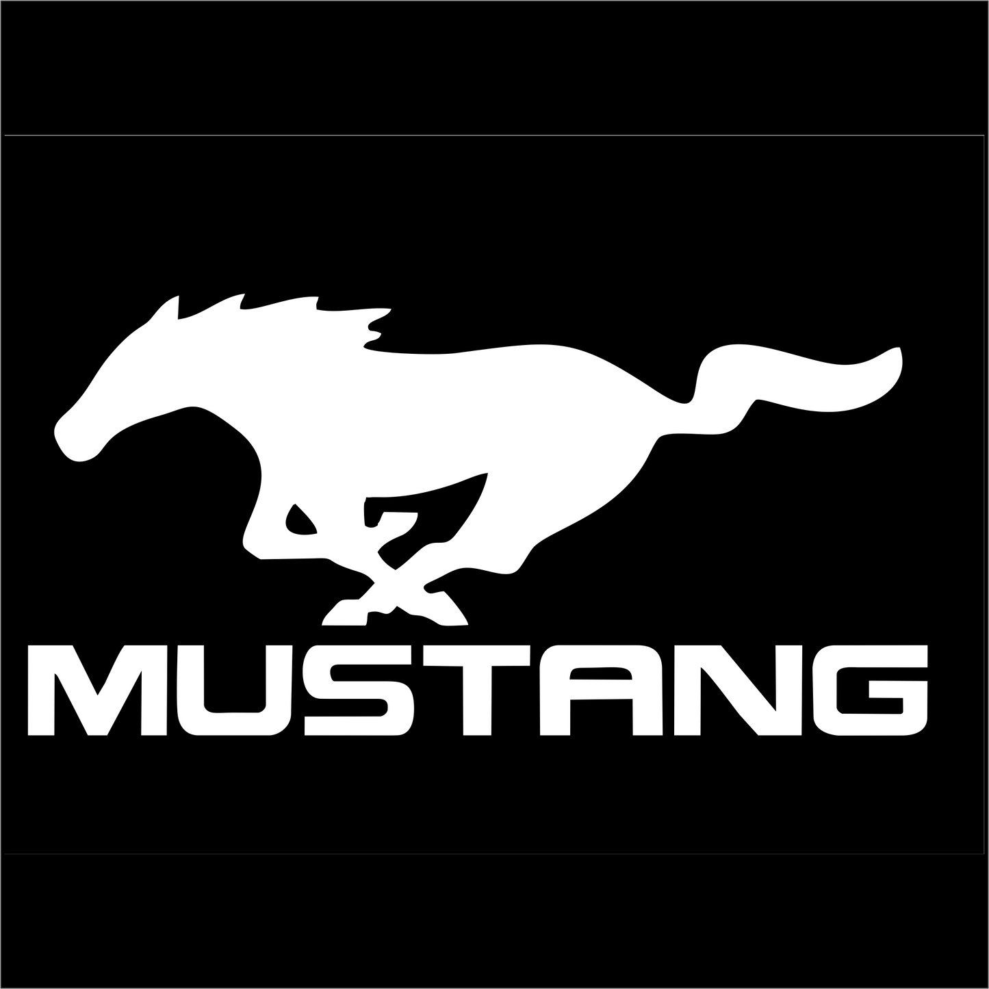 White Mustang logo on a black background
