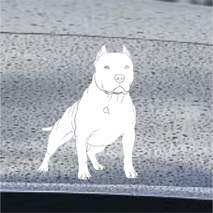 White outline of a Pit Bull Terrier dog on a car window