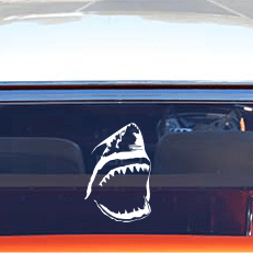 Shark mouth decal on a car window with a clear background