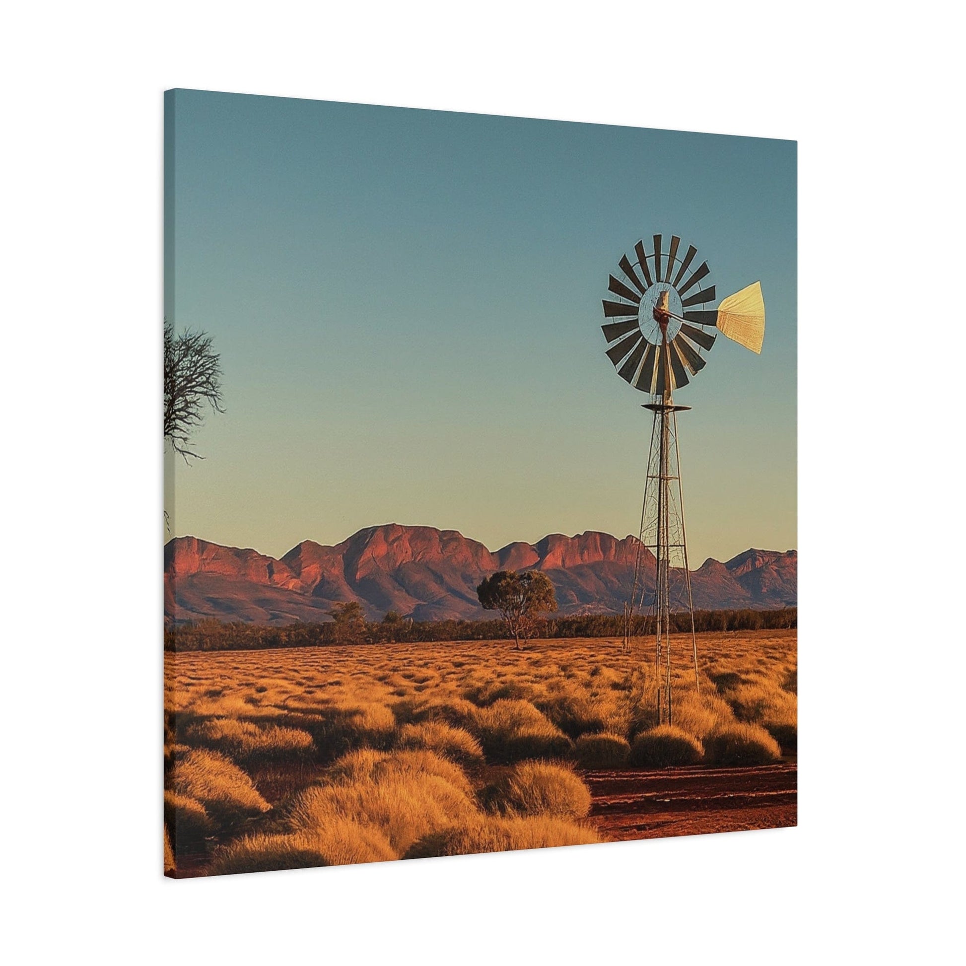Timeless Aussie Outback: Windmill Portrait - That Should Be on a T-Shirt