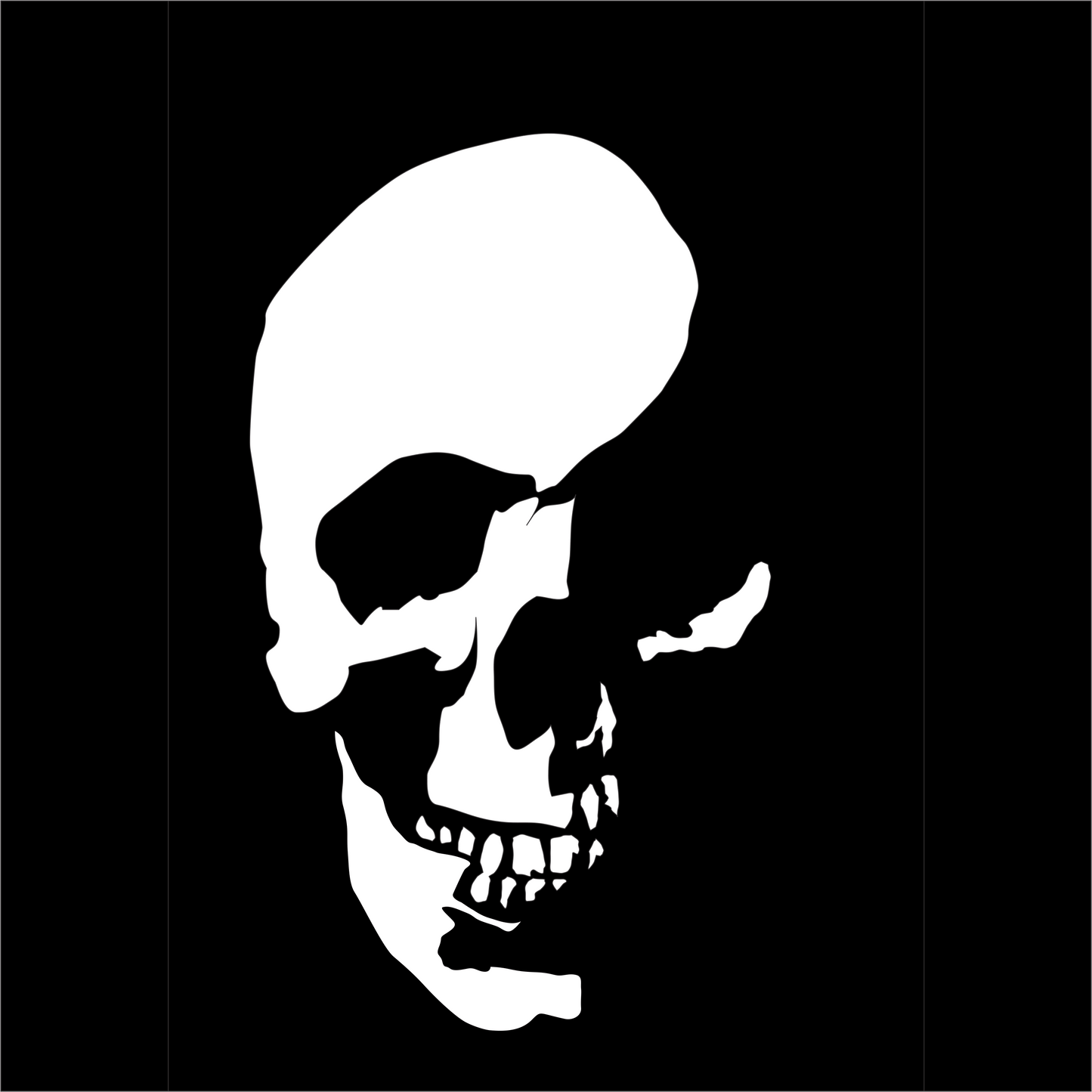 Skull Decal - That Should Be on a T-Shirt