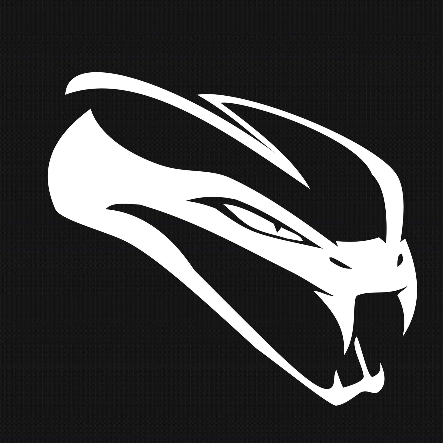 White dragon head design on a black background