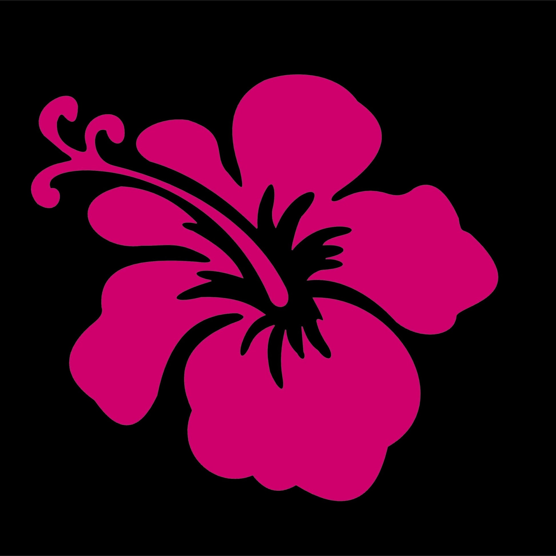 Pink flower with black outline on a black background