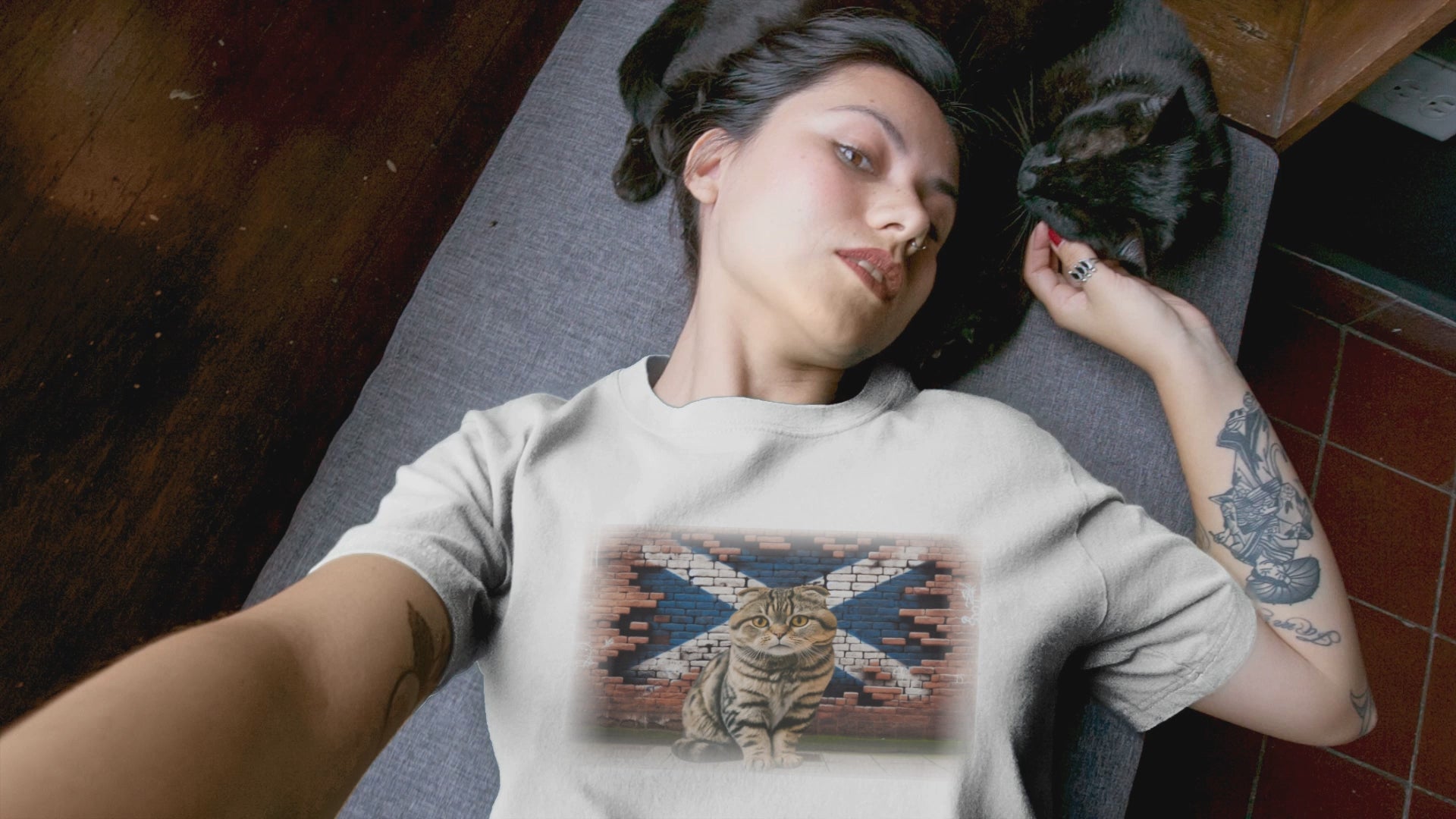 A Scottish Fold cat on a t-shirt, reminding you to "Shake it off" because it's too cute to resist.