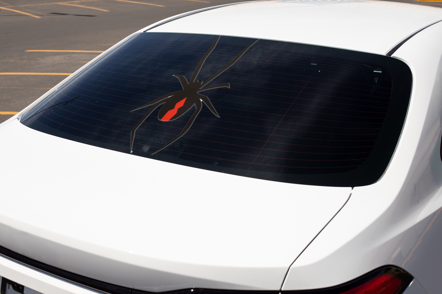 Redback Spider II Decal - That Should Be on a T-Shirt