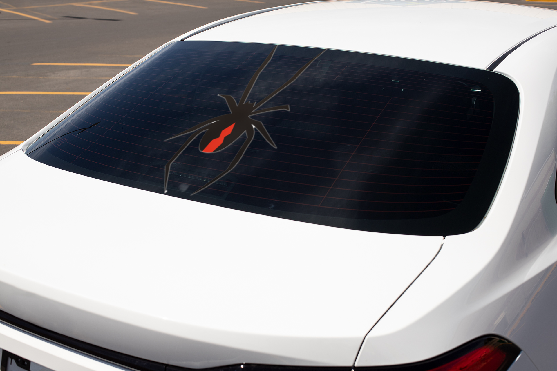 Redback Spider II Decal - That Should Be on a T-Shirt