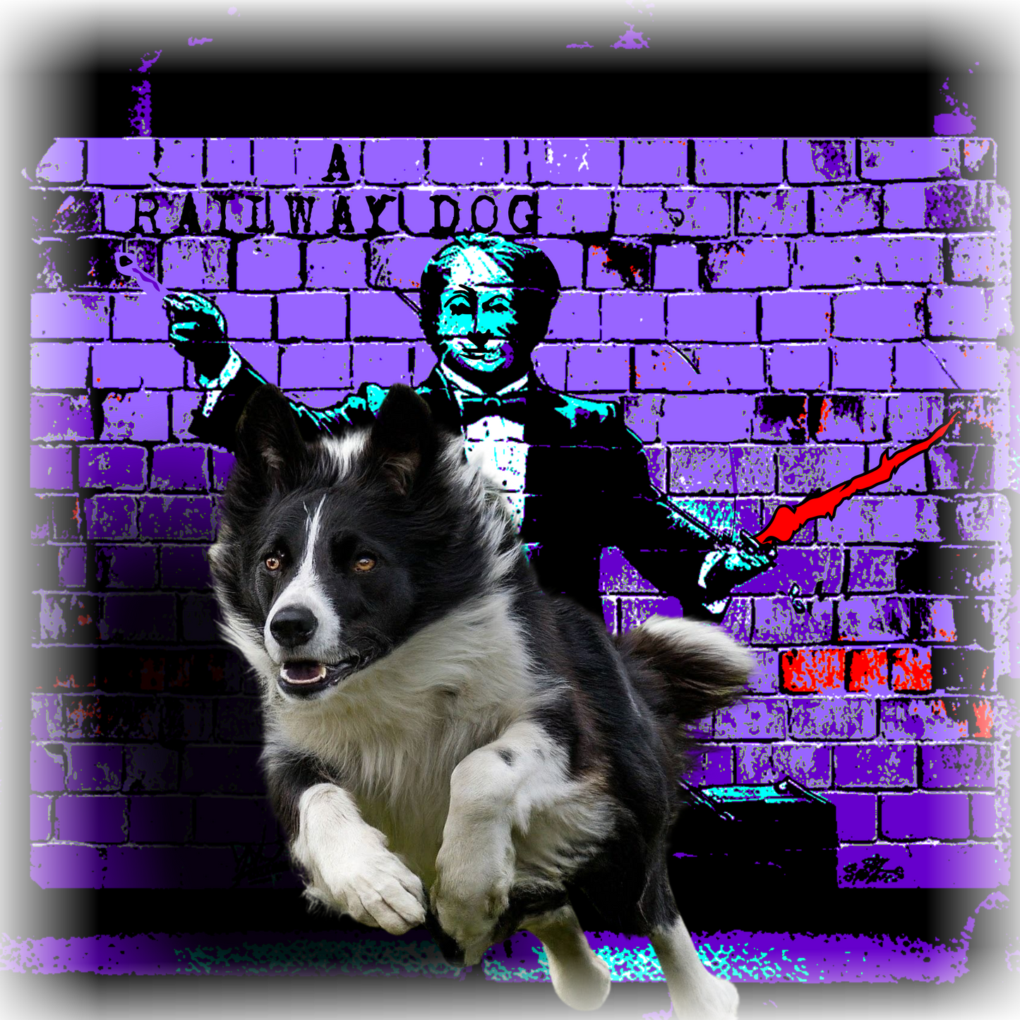 A Border Collie dog, known for its intelligence and herding ability, featured on a t-shirt.