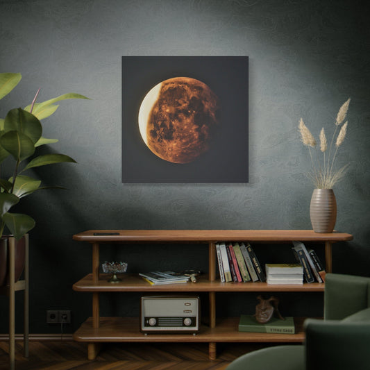 Portrait of the Moon