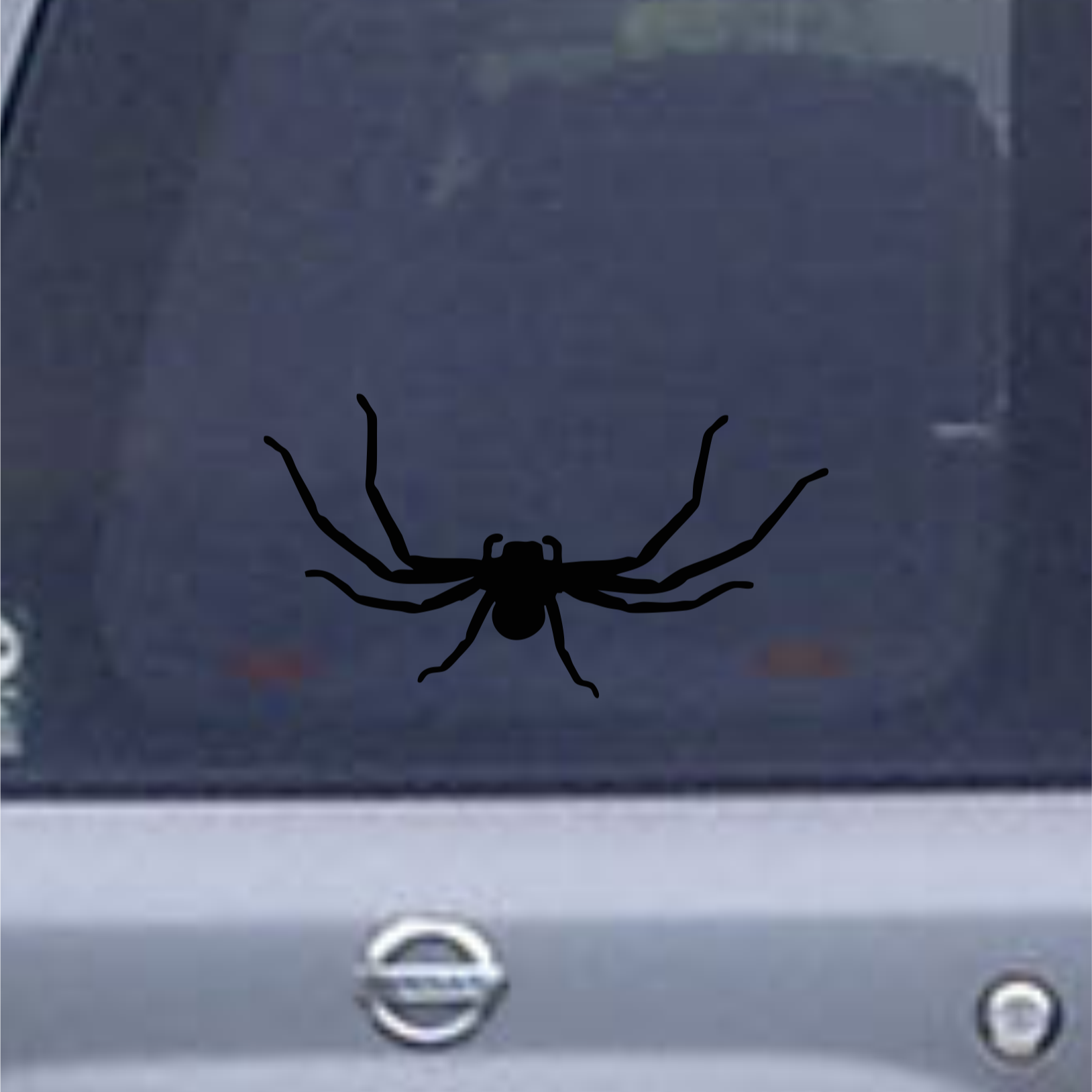 Black spider decal on a car window