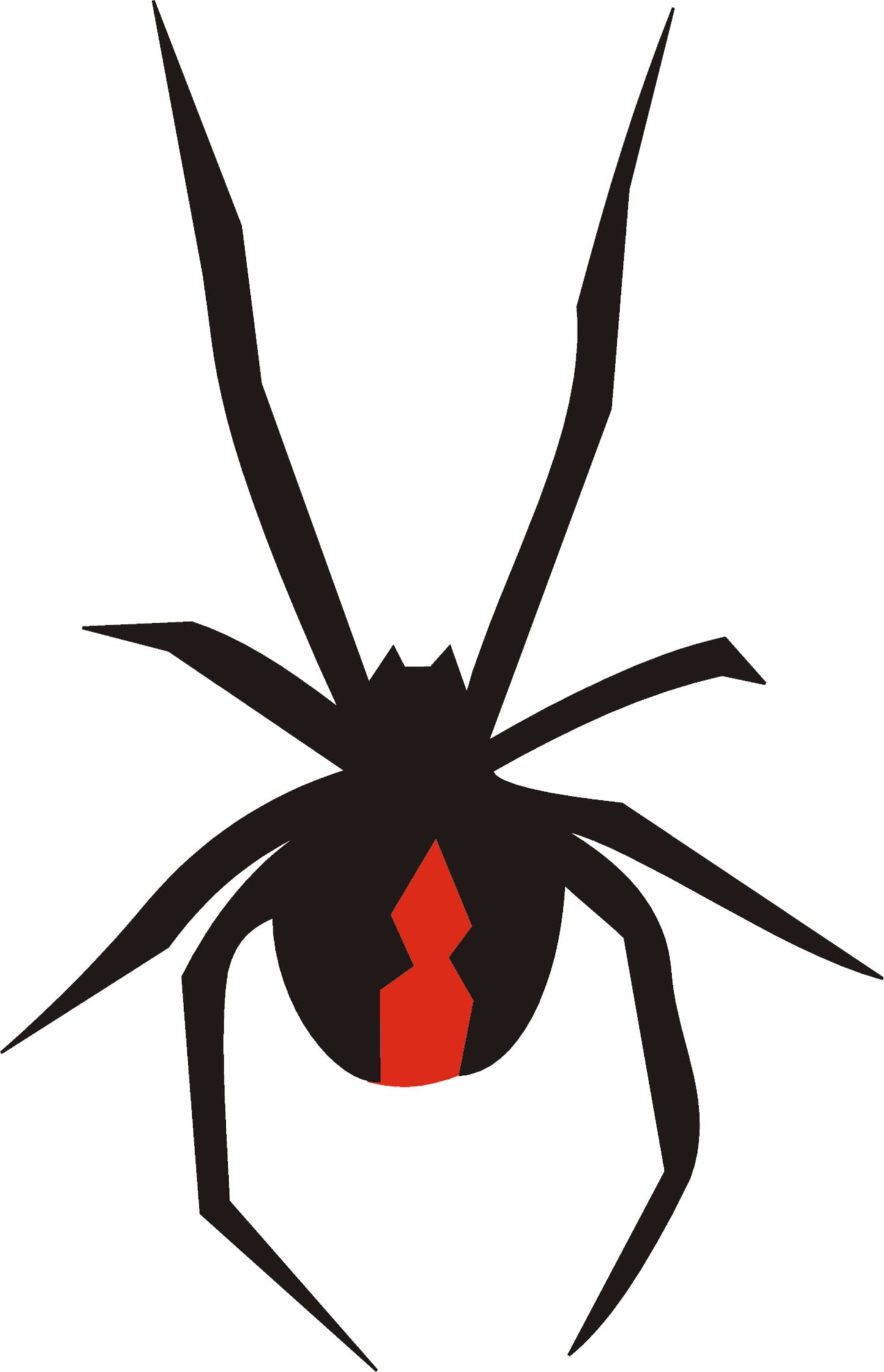 Redback Spider II Decal - That Should Be on a T-Shirt