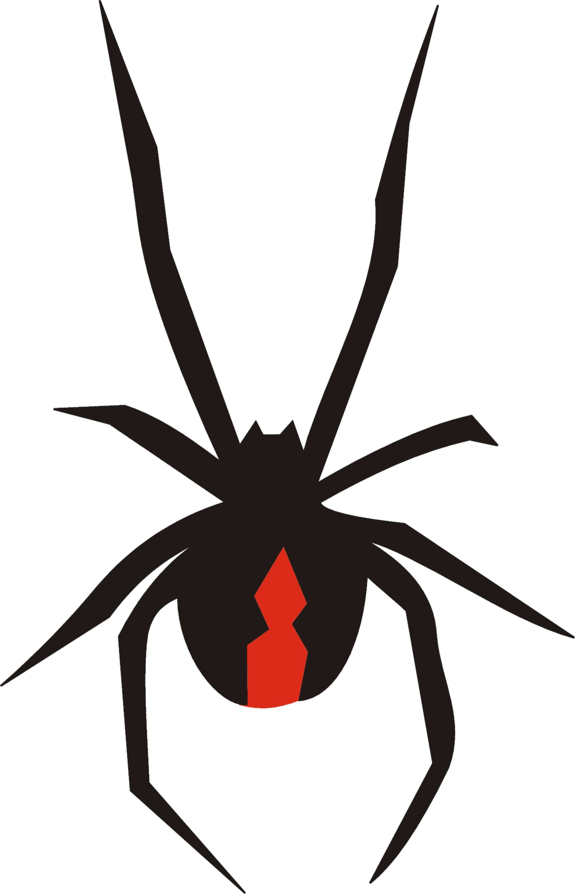 Redback Spider II Decal - That Should Be on a T-Shirt