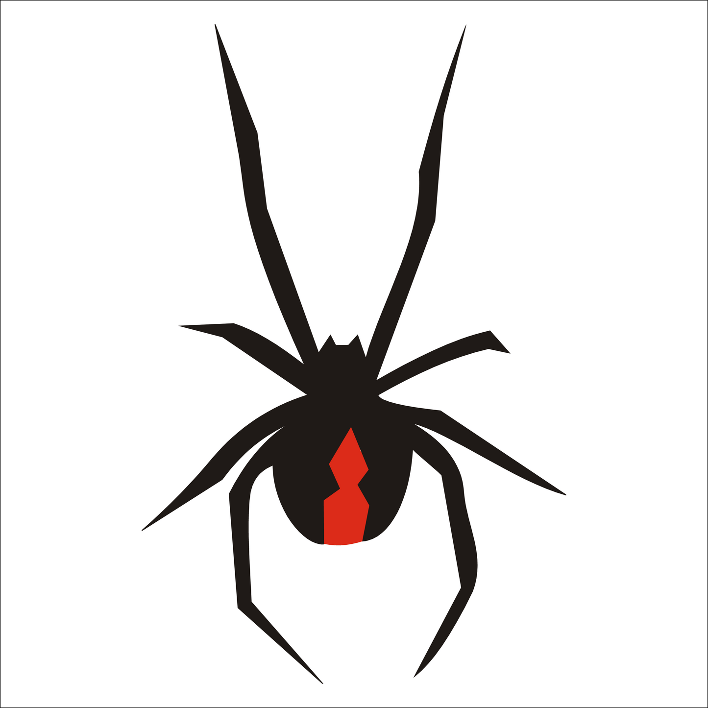 Black widow spider illustration with a red hourglass marking on a white background