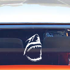 Shark mouth decal on a car window with a clear background